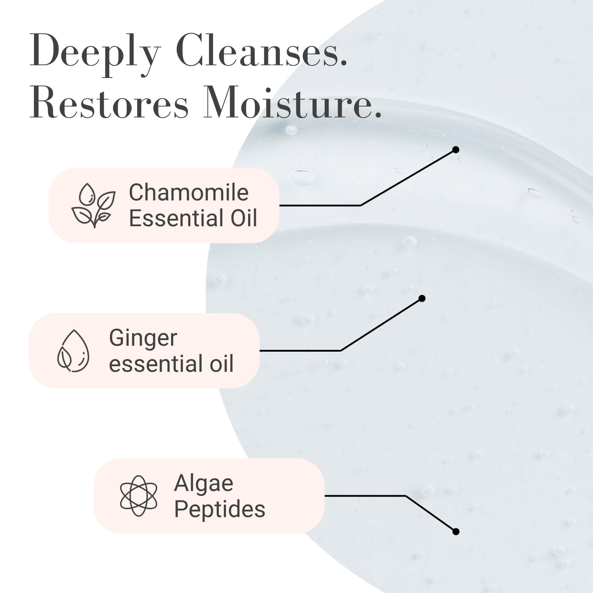 Hydra Peptide cleanser showing ingredients with chamomile essential oil, ginger essential oil, and algae peptides.